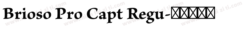 Brioso Pro Capt Regu字体转换